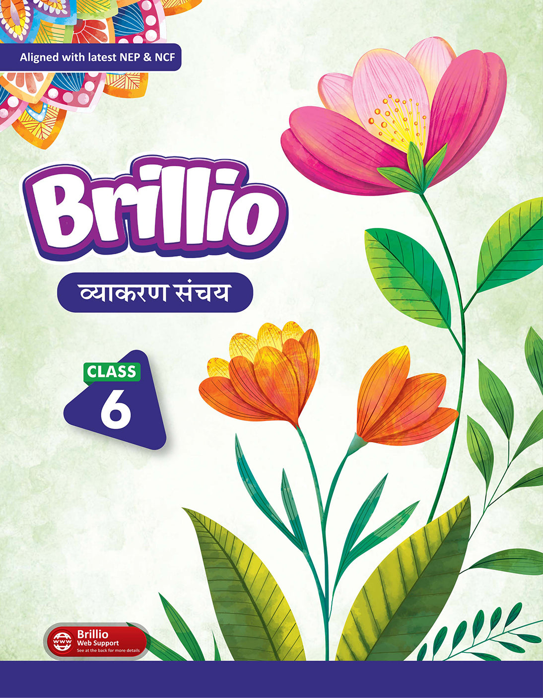 Skillitos Hindi Vyakaran Sanchay  Class 6 Textbook (Brillio Series)